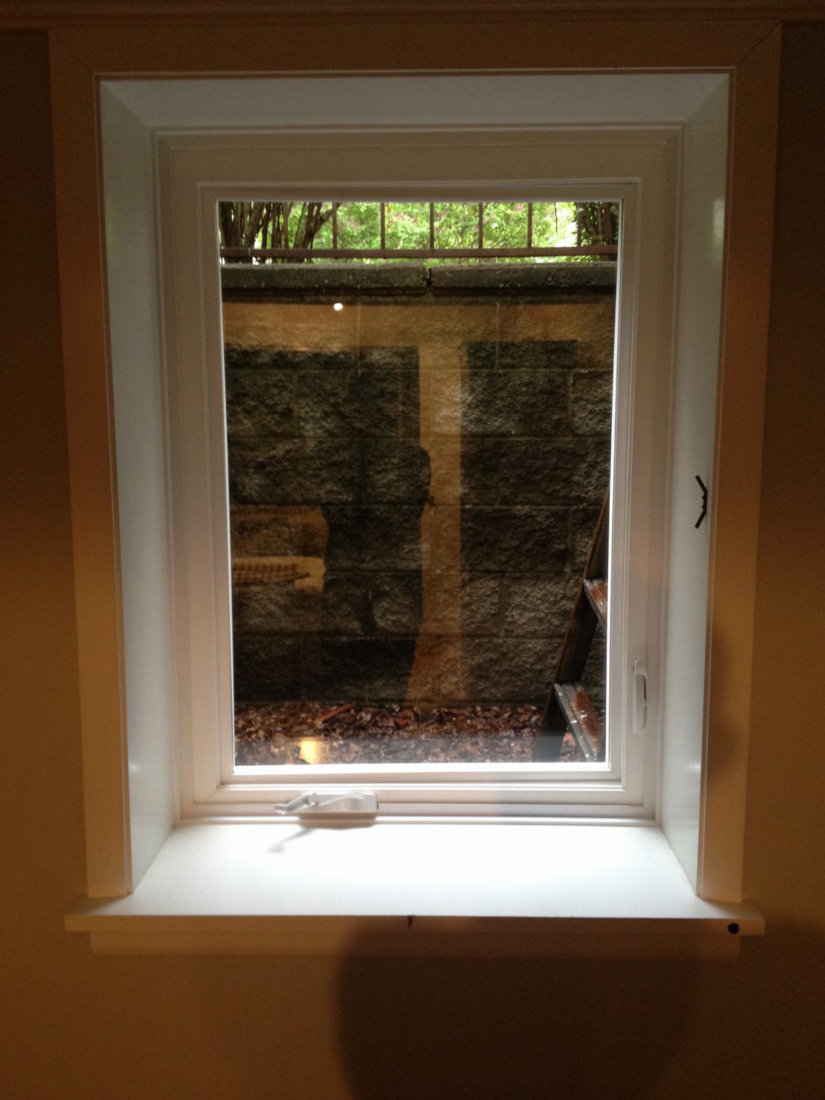 Home Window Repair and Replacement
